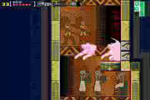 chozodia.avi (460854 bytes)